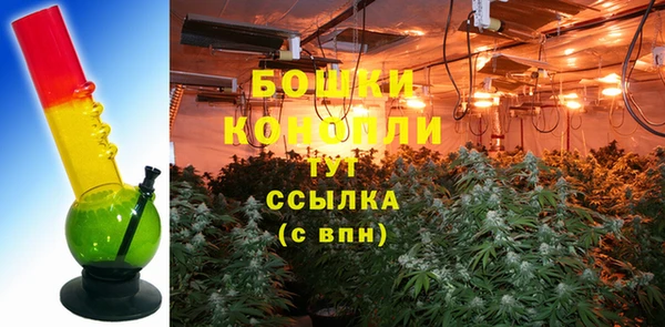 шишки Алексеевка