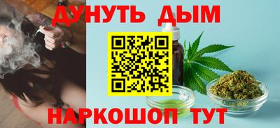 альфа пвп Владикавказ