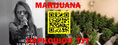 альфа пвп Владикавказ