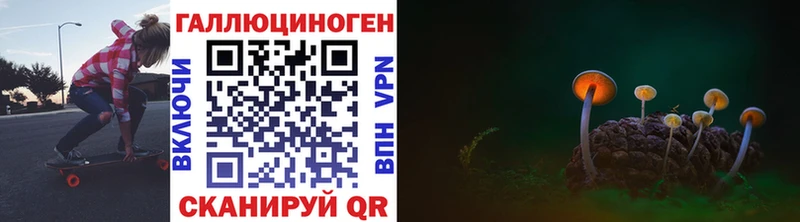 Галлюциногенные грибы Psilocybe Анжеро-Судженск